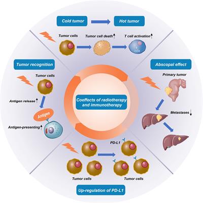 Radioimmunotherapy in colorectal cancer treatment: present and future